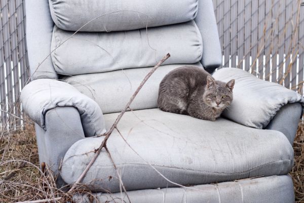 Recliner Disposal in Oconomowoc